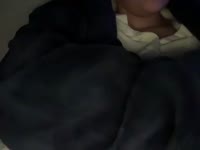 Ik kan lief zijn... maar ook een beetje gevaarlijk. Hangt er vanaf hoe jij me behandelt