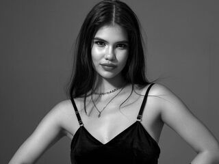 cam CelesteMaze