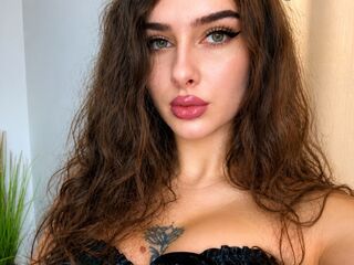 streaming live webcam SienaStone